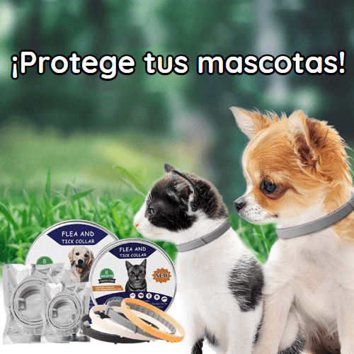 Collar Antipulgas y Garrapatas
